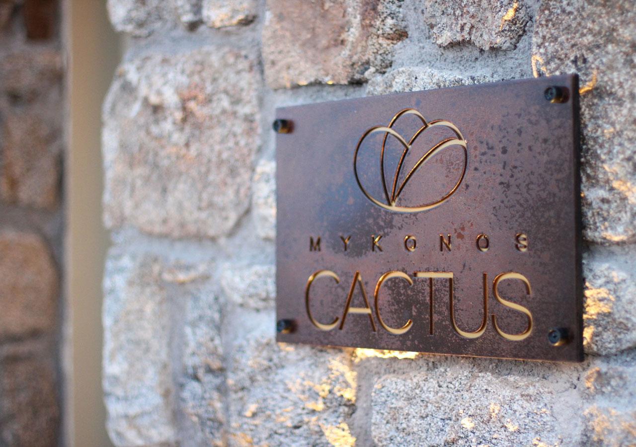 Mykonos Cactus Otel Ornos  Dış mekan fotoğraf